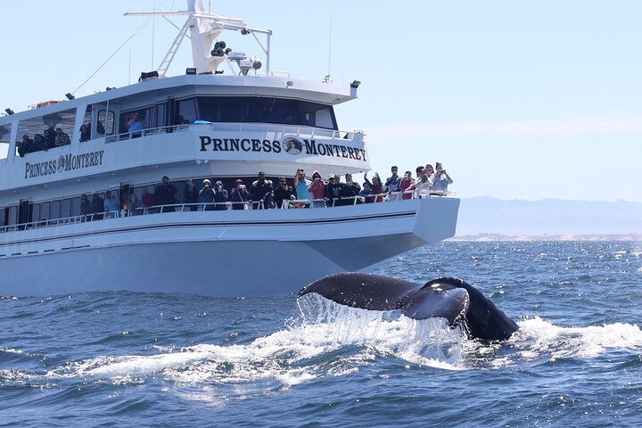Monterey Whale Watching Tour - Photo 1 of 7